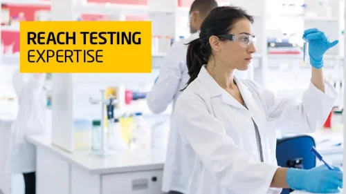 REACH Testing
